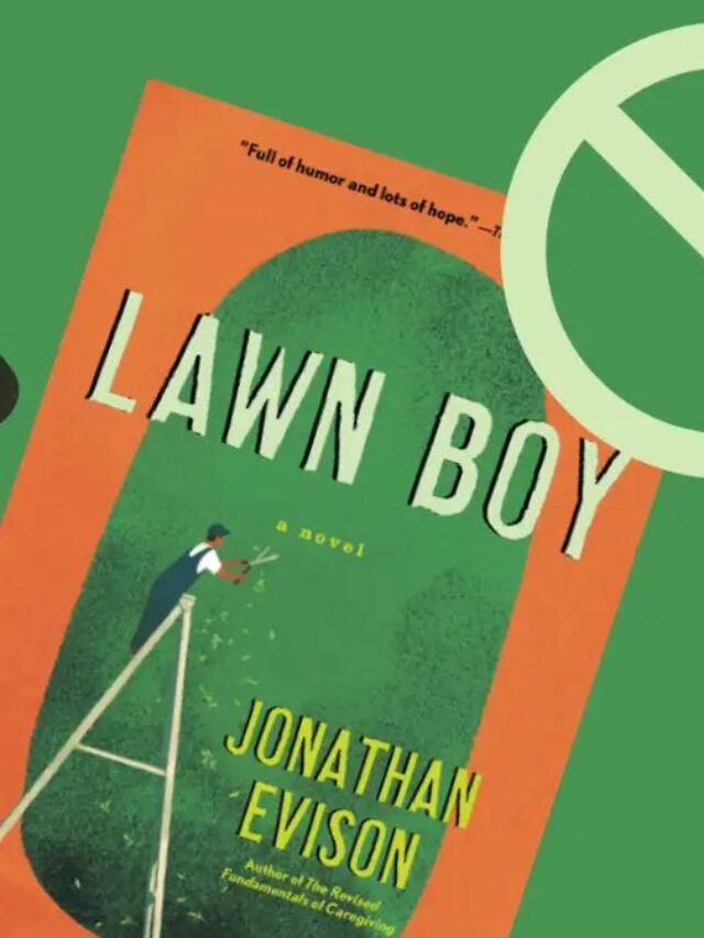 Lawn Boy Controversy