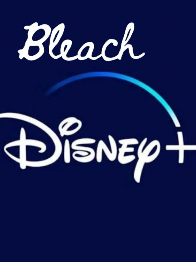 Bleach Disney Plus