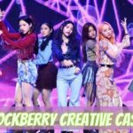 Blockberry Creative Cases