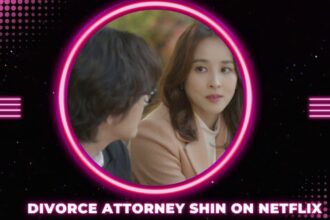 Divorce Attorney Shin on Netflix