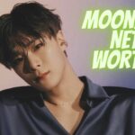 Moonbin Net worth