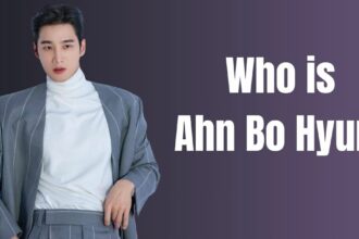 Who is Ahn Bo Hyun