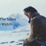 Society Of The Snow Where To Watch