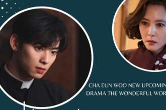 Cha Eun Woo New Upcoming Drama The Wonderful World