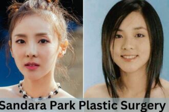 Sandara Park Plastic Surgery