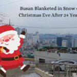 Busan Blanketed in Snow on Christmas Eve After 24 Years!