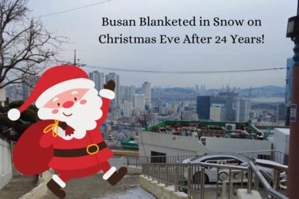 Busan Blanketed in Snow on Christmas Eve After 24 Years!