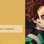 How Old is Tanjiro?