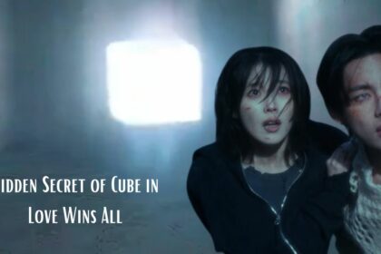 Hidden Secret of Cube in Love Wins All