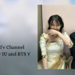 Ministry Tv Channel Controversy IU and BTS V