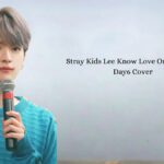 Stray Kids Lee Know Love Or Leave Me Day6 Cover