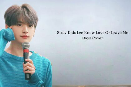 Stray Kids Lee Know Love Or Leave Me Day6 Cover