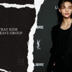 Fans Want Stray Kids Hyunjin to Leave Group