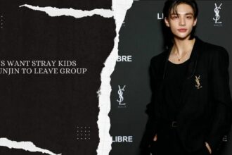 Fans Want Stray Kids Hyunjin to Leave Group