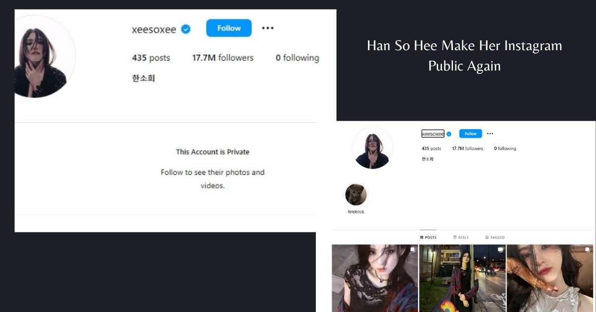 Han So Hee Make Her Instagram Public Again