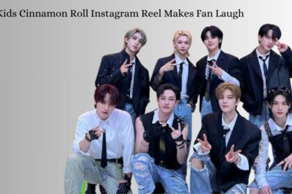 Stray Kids Cinnamon Roll Instagram Reel Makes Fan Laugh